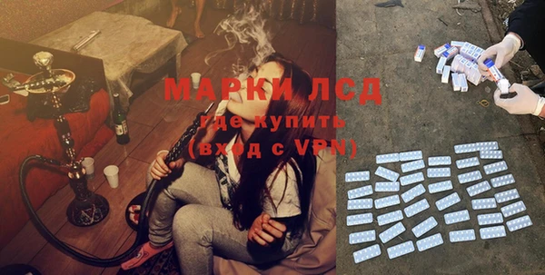 прущие грибы Абаза