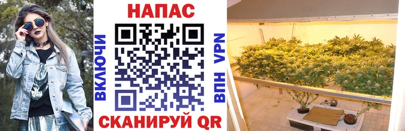 ОМГ ОМГ как войти  Железноводск  Шишки марихуана MAZAR 